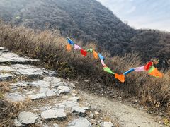 -阳台山自然风景区