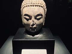 -山东博物馆