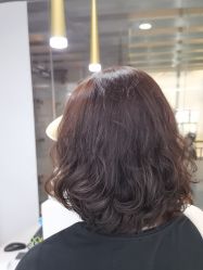 -镁连社·美联社