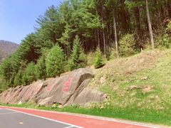 -五女峰国家森林公园