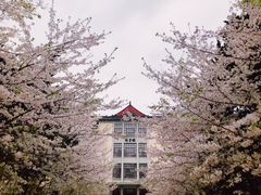 -南京林业大学-图书馆