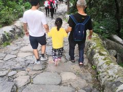 -阳台山自然风景区