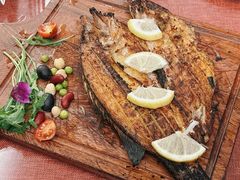 -清真·苏曼亚土耳其餐厅