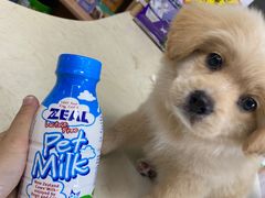 -派特宠物医院(圆融广场店)