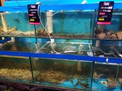 -船梆煮•蒸汽海鲜·生腌干蒸(五四广场店)