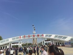 -石家庄市植物园