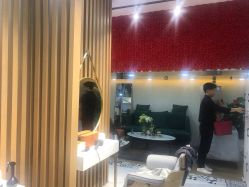 -尚·丹尼Hair