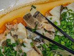 -船歌·鱼水饺青岛菜(珠江路店)