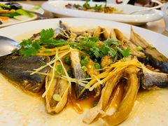 海仓鱼-德胜轩正宗顺德菜(宝安沙井会展中心店)