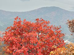 -北京十三陵国家森林公园蟒山景区