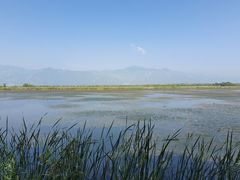-野鸭湖国家湿地公园