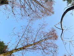 -重庆彩云湖湿地公园