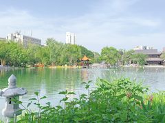 -北湖公园
