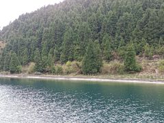 -武陵山森林公园