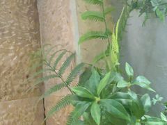 -长江路历史文化街区