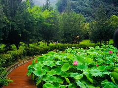-九龙湾景区拓展会议
