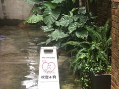 -嘁嘁茶泡饭