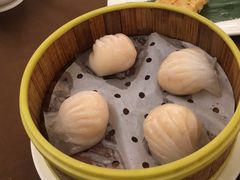 -宝燕壹号(徐汇店)