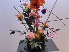 -云溪植物园