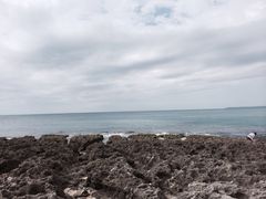 iphone_upload_pic-鹅銮鼻公园