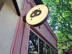 -WHEN PIGS FLY当猪飞