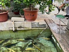 -回头客餐厅·家的味道农家菜·虹鳟鱼·铁锅炖(雁栖湖店)