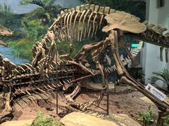 -自贡恐龙博物馆