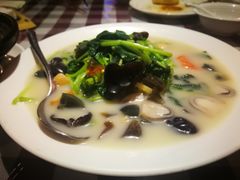 上汤鸡毛菜-邓丽君音乐主题餐厅