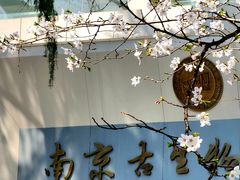 -鸡鸣寺