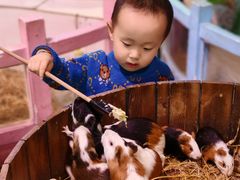 -正佳雨林生态植物园