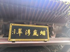 -杭州半山国家森林公园