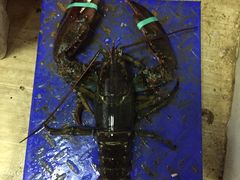 -87号烧烤海鲜·大排档(金沙滩店)