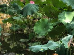 -韶山毛泽东同志故居