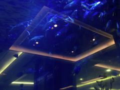 android_upload_pic-碧桂园凤凰城酒店(南京店)