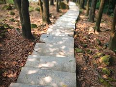 -火炉山森林公园