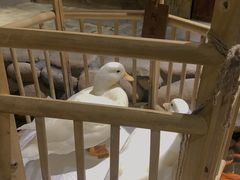 -馬蘭花開(车站大道店)