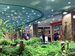 -凯德广场(学府店)