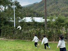 -宁波浙东大竹海景区