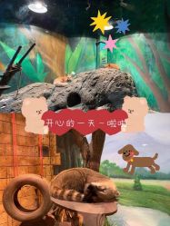 -萌宠亲子动物乐园(槐房万达店)