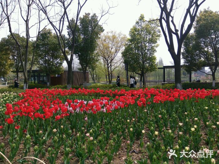 南京中山植物園-圖片-南京景點/周邊遊-大眾點評網