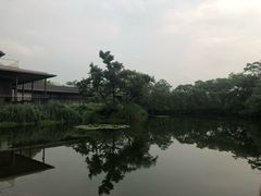 -木守西溪溪隐餐厅