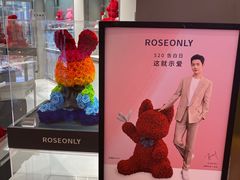 -ROSEONLY诺誓(广州K11店)
