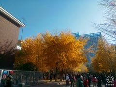 -辽宁大学(崇山校区)