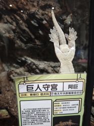 -Zoolung Zoolung动物主题公园(海信广场店)