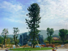 android_upload_pic-望天湖