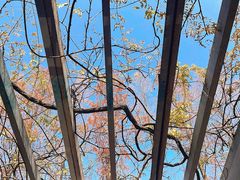 -郑和公园