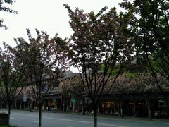 -红星兔丁(武侯祠店)
