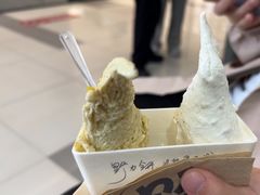-野人先生Gelato(上海长宁龙之梦店)