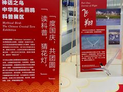 -福州长乐国际机场