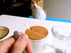 iphone_upload_pic-Anne猫窝咖啡屋